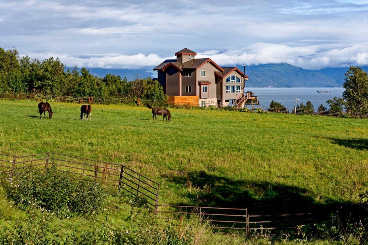 Home With Kachemak Bay View - 5 Miles To Downtown! Homer Esterno foto